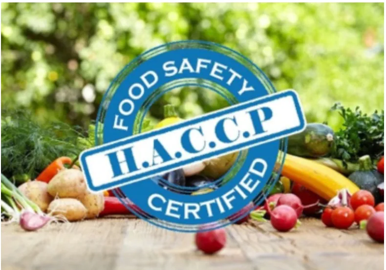 Tìm hiểu về HACCP bếp ăn tập thể